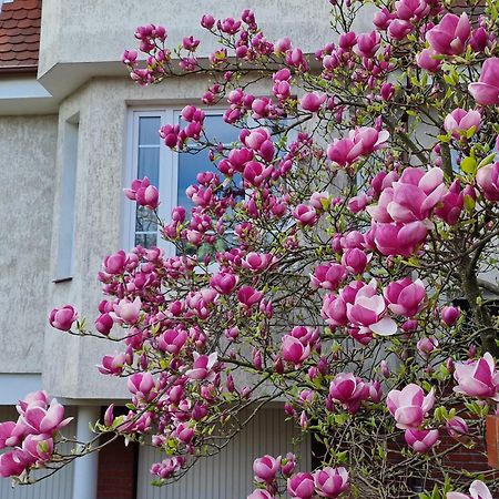 Apartament Magnolia Sopot Extérieur photo